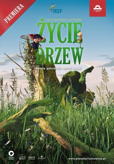 Zdjęcie - Życie drzew - seans dla grup zorganizowanych (min. 11 biletów) (10+)